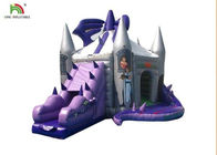 जन्मदिन के लिए स्लाइड के साथ बैंगनी ड्रैगन Inflatable कूद महल